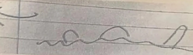 Chiều ngày 26/8, Alastair Gray đã nhìn thấy một thứ bất thường ở giữa hồ Loch Ness. Ông Gray kể rằng phát hiện 3 hình dạng kỳ lạ và dường như có mối liên hệ với nhau. Trong đó, một phần nhô ra khỏi mặt nước ở góc 45 độ với hai phần bướu còn lại nhô lên và tự động di chuyển trên mặt nước.