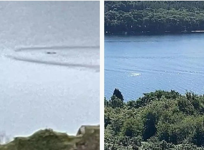 Trong năm 2023, 9 trường hợp tuyên bố nhìn thấy quái vật hồ Loch Ness với nhiều tình tiết khiến công chúng tò mò. Trong đó, vào ngày 7/10, Sash Lake đến từ Wiltshire bất ngờ nhìn thấy một sinh vật bí ẩn xuất hiện ở giữa hồ. Sinh vật này có kích thước gần bằng một chiếc xe buýt hai tầng nổi giữa hồ với chiếc cổ dài. Sự việc diễn ra chỉ khoảng 5 giây.