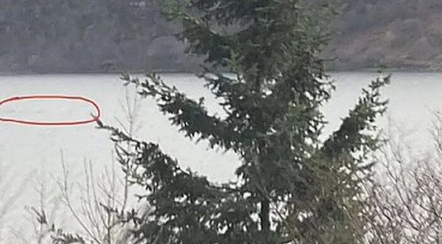 Ngày 5/4, Francesca McGarvey đến từ Paisley lái xe đi thăm bố mẹ. Trên đường đi, cô hướng tầm mắt nhìn ra phía hồ Loch Ness thì bất ngờ thấy một bóng đen nổi lên từ mặt nước, đi về phía bắc tới lâu đài Urquhart. Sinh vật này di chuyển trên mặt hồ khoảng 30 giây rồi biến mất.