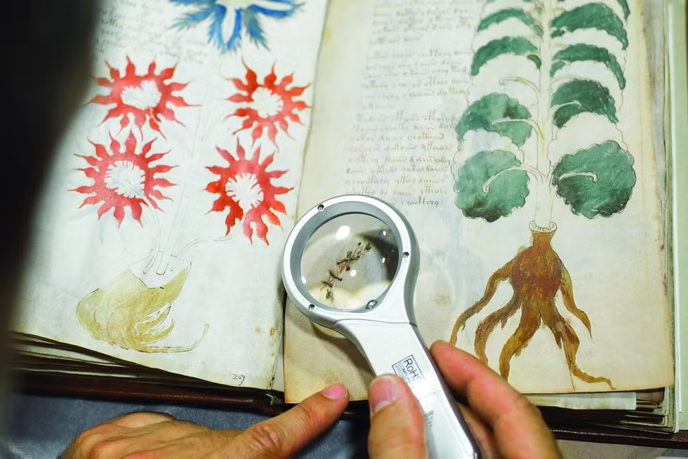 Theo các chuyên gia, bản thảo Voynich được các nữ tu Dominican thực hiện theo yêu cầu từ Nữ hoàng Maria xứ Castille - cô của Nữ hoàng Anh Catherine.