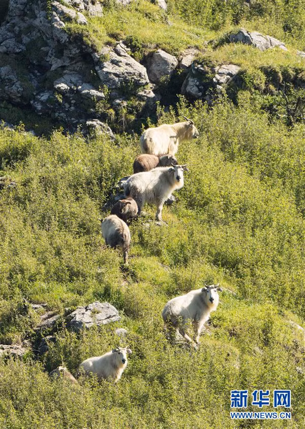 Đầu tiên, theo quan điểm của người xưa về âm dương và ngũ hành, dãy núi Tần Lĩnh là vị trí đắc địa để xây dựng lăng mộ. Bởi lẽ, hình thái của các đỉnh núi trong dãy Tần Lĩnh là "gân rồng", đá là "xương rồng", đất là "máu thịt của rồng" và thảm thực vật là "mao rồng".