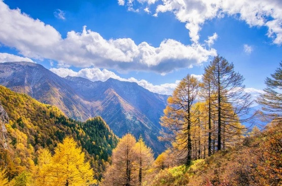 Trong suốt hàng ngàn năm, dãy núi Tần Lĩnh được nhiều hoàng đế nhà Tần, nhà Hán, nhà Đường và các triều đại khác chọn làm nơi xây dựng lăng mộ.