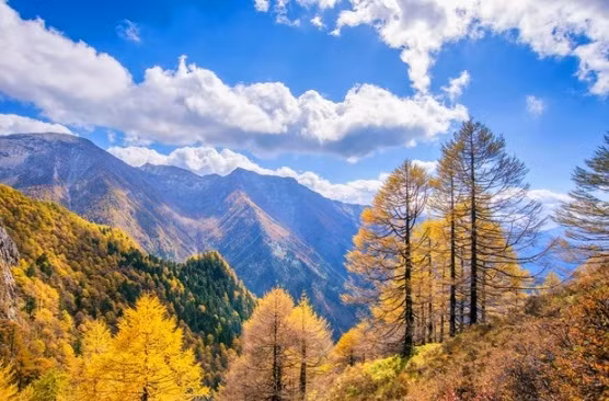 Trong suốt hàng ngàn năm, dãy núi Tần Lĩnh được nhiều hoàng đế nhà Tần, nhà Hán, nhà Đường và các triều đại khác chọn làm nơi xây dựng lăng mộ.