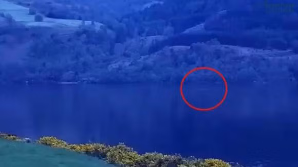 Thủy quái bí ẩn này để lộ chiếc cổ dài đặc trưng và chiếc bướu đen khi nhô mình lên mặt nước.