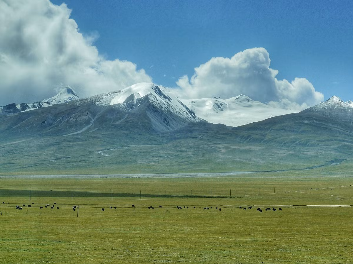 Dãy Himalaya phát triển bởi 2 mảng kiến tạo lục địa gồm: mảng Ấn Độ và mảng Á Âu. Hai mảng này đang va chạm bên dưới dãy Himalaya. Trong trường hợp mảng kiến tạo lục địa và đại dương va chạm, mảng đại dương đặc hơn sẽ trượt xuống bên dưới mảng lục địa nhẹ hơn trong quá trình mang tên hút chìm.