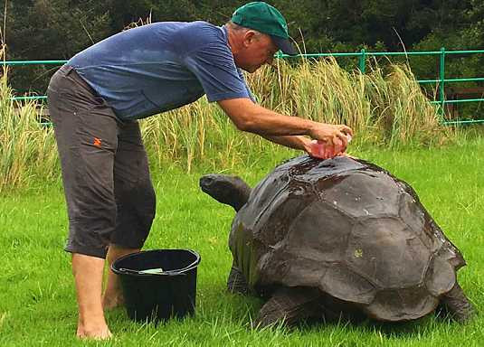Từ đây, nhiều chuyên gia suy đoán "cụ rùa" Jonathan có thể nhiều tuổi hơn cả con số 192. Thật kinh ngạc trước thông tin "cụ rùa" Jonathan sống qua 2 cuộc chiến tranh thế giới là: Thế chiến 1 (1914 - 1918) và Thế chiến 2 (1939 - 1945).