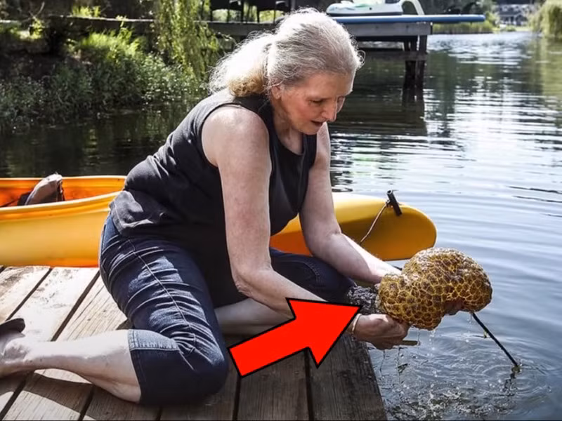 Vào một ngày, vợ chồng Laura và Tom làm việc trong khu vườn gần nhà thì gặp một sự việc bất ngờ. Khi trông thấy một " sinh vật lạ" trôi nổi trên mặt hồ, bà Laura lại gần và vớt nó lên.