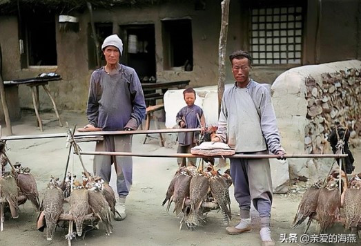 Hai người đàn ông chuẩn bị mang những con chim diều hâu đi bán trong thời gian diễn ra lễ hội.