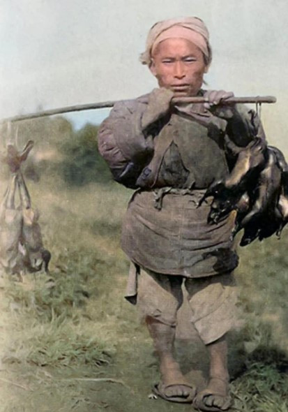 Một người dân thời nhà Thanh có vóc dáng thấp bé gánh trên vai những con vịt quay đem ra chợ bán.