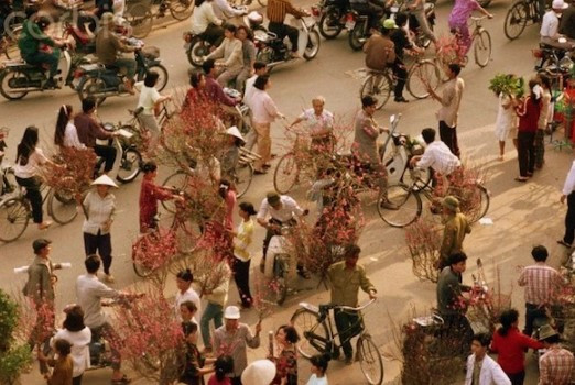 Mỗi dịp Tết đến Xuân về, nhiều gia đình ở miền Bắc Việt Nam đều mua một cành đào về bày trí trong nhà.