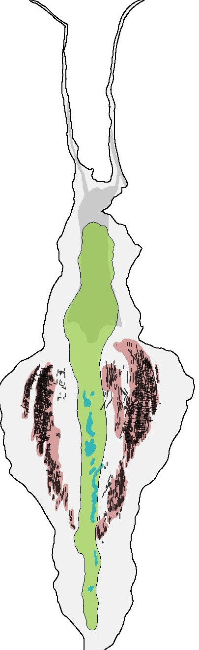 Thông qua sử dụng các chùm electron, nhóm nghiên cứu khám phá mạng lưới thần kinh được bảo tồn tốt đáng ngạc nhiên bên trong hóa thạch cổ xưa này.