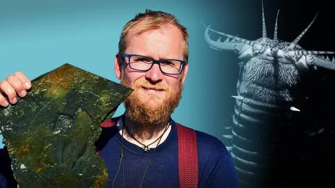 Kết quả nghiên cứu của nhóm chuyên gia chỉ ra, Timorebestia koprii có trung tâm thần kinh lớn là hạch bụng giúp kiểm soát cơ vận động rất tốt.