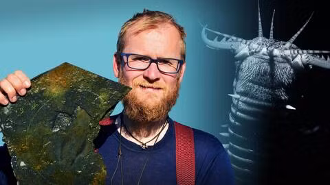 Kết quả nghiên cứu của nhóm chuyên gia chỉ ra, Timorebestia koprii có trung tâm thần kinh lớn là hạch bụng giúp kiểm soát cơ vận động rất tốt.