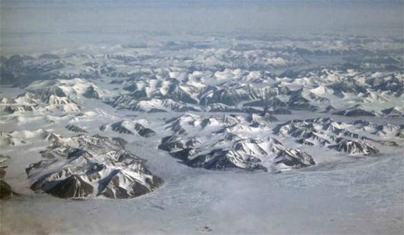 Quái vật Timorebestia koprii sở hữu hàm bên trong đầu, khác biệt so với các loài có liên quan hiện tại và hay dùng lông cứng ở bên ngoài đầu để bắt mồi.