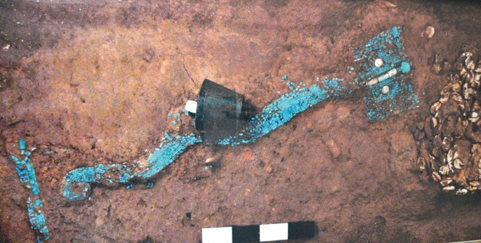 Từ đó, giới chuyên gia suy đoán vật tổ hình rồng có thể thuộc về một vị quan phụ trách nghi lễ tế lễ của nhà Hạ.