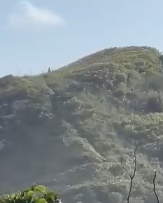 Theo lời kể của Sara, "người ngoài hành tinh" xuất hiện trên đỉnh đồi. Sinh vật này di chuyển rất nhanh và ước chừng cao khoảng 3m.