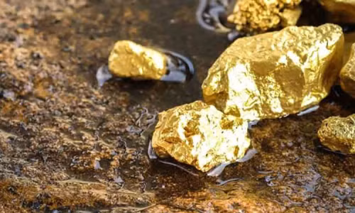 Càng đào, nhóm chuyên gia càng tìm thấy nhiều tảng đá màu vàng tương tự. Qua kiểm tra, họ xác định đó là những cục vàng giá trị. Họ vô cùng bất ngờ bởi chưa bao giờ tìm thấy một quặng vàng lớn như vậy.