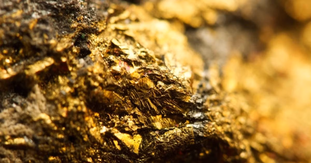 Để thuận tiện cho việc khai quật quặng vàng, giới chức trách quyết định tạm thời đóng cửa công viên. Theo đó, người dân không ra vào công viên Suichang trong một thời gian để các chuyên gia thuận tiện triển khai dự án tìm kiếm kho báu.