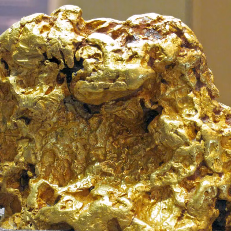 Sau khi các chuyên gia đưa kho báu trên lên mặt đất, công viên Suichang mở cửa trở lại và người dân có thể ra vào thoải mái.