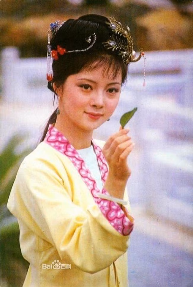 Tào Tuyết Cần mô tả Tiết Bảo Thoa có khuôn mặt như chiếc chậu bạc, đôi mắt như trái mơ, đôi môi đỏ mọng. Nàng là người thông minh, ham học, am tường nhiều lĩnh vực như văn học, nghệ thuật, lịch sử, y học...