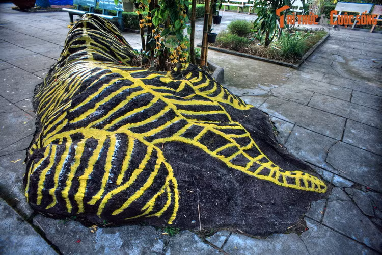 Theo đó, Đồng bằng sông Cửu Long là vùng đất được khai phá muộn của Việt Nam. Ngay từ buổi đầu đến vùng đất mới này, lưu dân đã phải đối mặt với rừng rậm hoang vu đầy thú dữ. Trong đó, hổ là con vật nguy hiểm nhất.