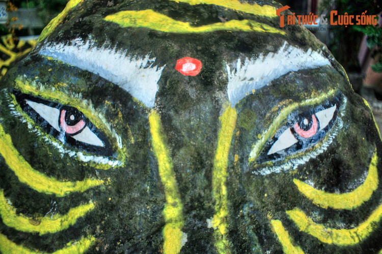 Là đại diện cho sức mạnh của thiên nhiên, hổ đã được người dân tôn lên thành thần. Tục thờ hổ ở Nam Bộ gắn liền với những giai thoại ly kỳ, trong đó loài hổ không phải lúc nào cũng là thế lực hung bạo, mà đôi khi có mối liên hệ khăng khít với con người.