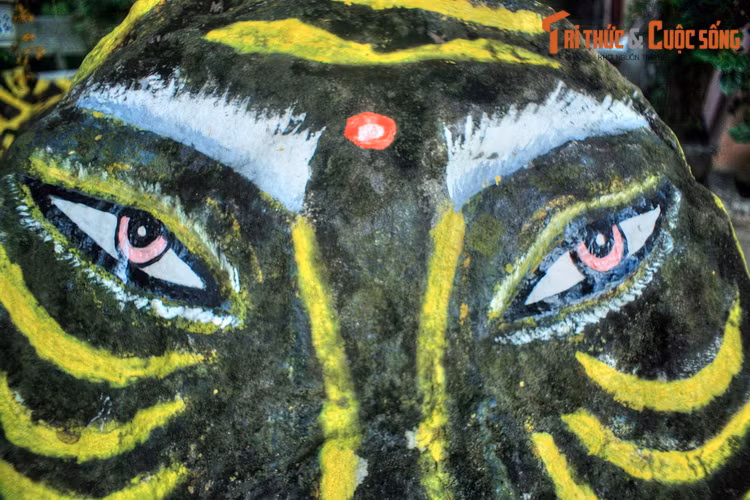 Là đại diện cho sức mạnh của thiên nhiên, hổ đã được người dân tôn lên thành thần. Tục thờ hổ ở Nam Bộ gắn liền với những giai thoại ly kỳ, trong đó loài hổ không phải lúc nào cũng là thế lực hung bạo, mà đôi khi có mối liên hệ khăng khít với con người.