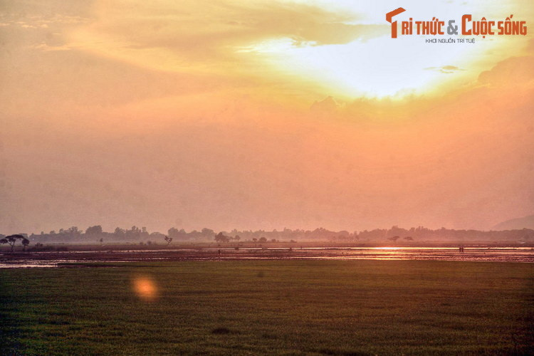Hoàng hôn trên đồng lúa ở huyện An Phú, An Giang. Vùng đồng bằng rộng lớn và màu mỡ của tỉnh An Giang được coi là vựa lúa lớn nhất của cả nước.