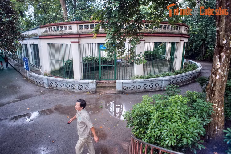 Có lịch sử hình thành từ năm 1865, Thảo Cầm Viên Sài Gòn là một trong những vườn thú lâu đời nhất thế giới. Ngày nay, nơi này còn lưu giữ được một số công trình cổ, tiêu biểu là khu chuồng hổ có tuổi đời gần thế kỷ.