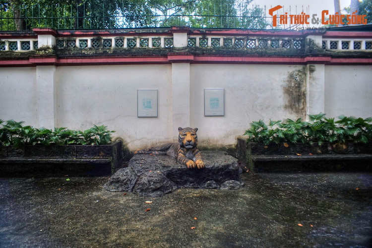 Có lẽ đây là nguồn cảm hứng để nhà thơ Thế Lữ viết bài thơ "Nhớ rừng" năm 1934. Vào thời điểm đó khu chuồng này đã được xây dựng, và theo các tư liệu cũ thì chỉ có Thảo Cầm Viên Sài Gòn là nơi nuôi nhốt hổ phục vụ khách tham quan ở Việt Nam thời thuộc địa.