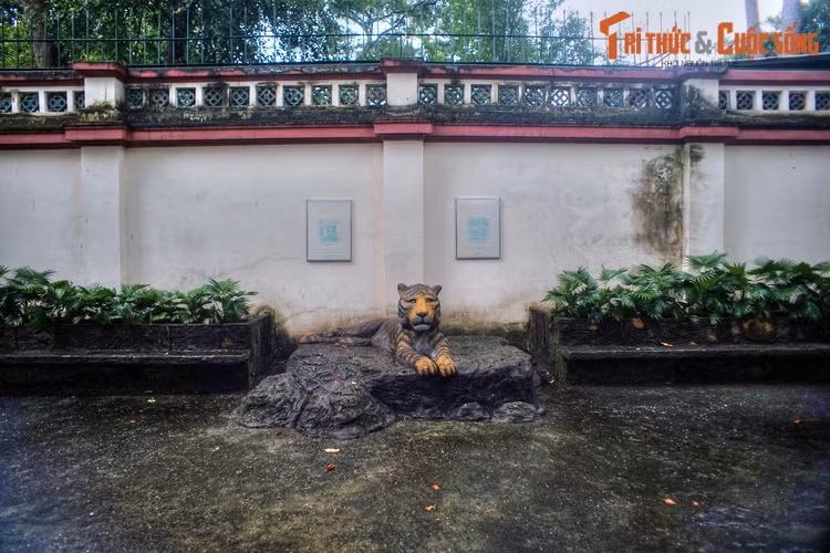 Có lẽ đây là nguồn cảm hứng để nhà thơ Thế Lữ viết bài thơ "Nhớ rừng" năm 1934. Vào thời điểm đó khu chuồng này đã được xây dựng, và theo các tư liệu cũ thì chỉ có Thảo Cầm Viên Sài Gòn là nơi nuôi nhốt hổ phục vụ khách tham quan ở Việt Nam thời thuộc địa.