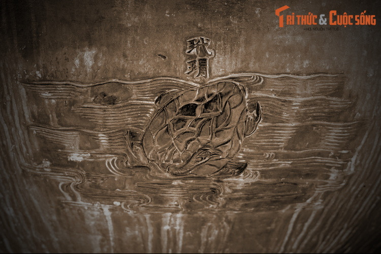 Con vật cuối cùng trên Nhân đỉnh là “Đại mạo” nghĩa là con đồi mồi, một loài rùa biển. Trong Sách Đỏ Việt Nam, loạt vật này thuộc diện Nguy cấp. Những năm 1990, đồi mồi đã gần như bị tận diệt do nghề thủ công sử dụng mai, vảy của chúng làm đồ mỹ nghệ bán cho khách du lịch.