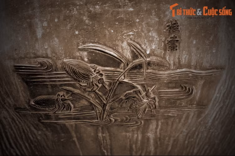 Hình tượng động vật tiếp theo trên Huyền đỉnh là “Quế đố” - con cà cuống, loài côn trùng lớn sống dưới nước. Trong Sách Đỏ Việt Nam, cà cuống là loài Sẽ nguy cấp. Nguy cơ lớn nhất với loài này là tình trạng sử dụng hoá chất không kiểm soát trong sản xuất nông nghiệp.