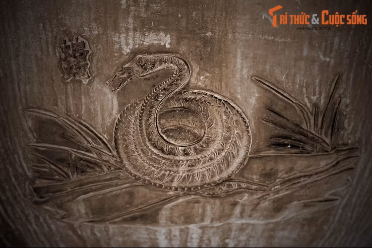 Đại diện của bò sát xuất hiện trên Anh đỉnh là “Nhiêm xà” – con trăn. Trong Sách Đỏ Việt Nam, các loài trăm đất và trăn gấm được xếp vào diện Rất nguy cấp. Các loài này bị săn bắt với cường độ cao trong tự nhiên để lấy thịt và da.