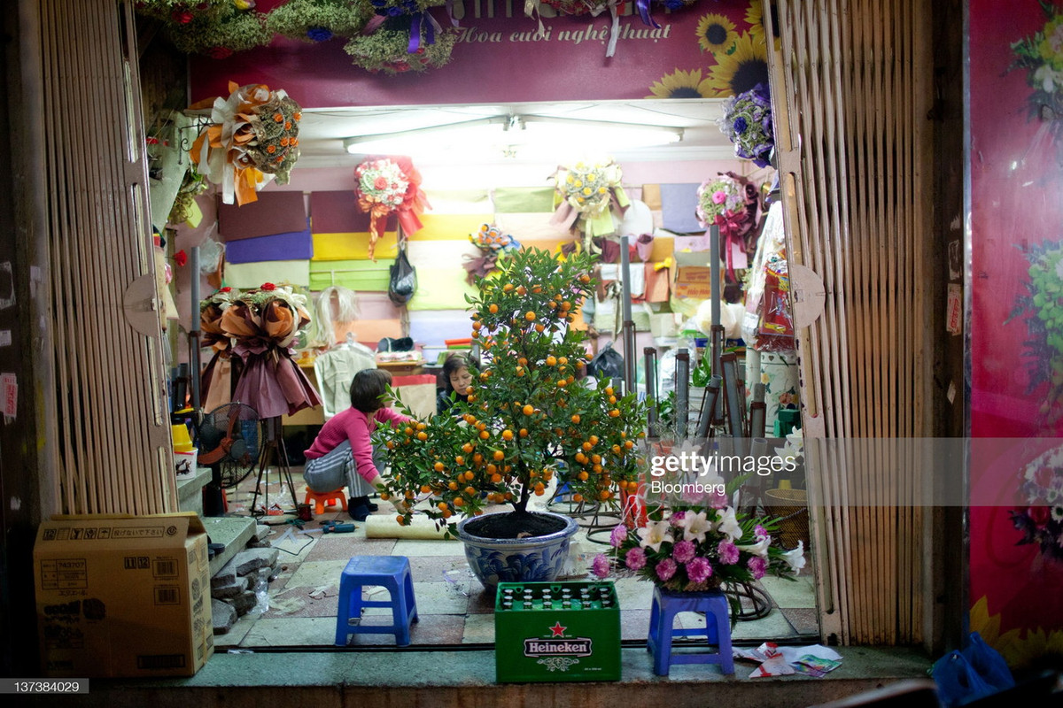 Sự hiện diện của một chậu quất hay cành đào như thổi luồng sinh khí mới, thay thế bầu không khí thường nhật trong mỗi gia đình...