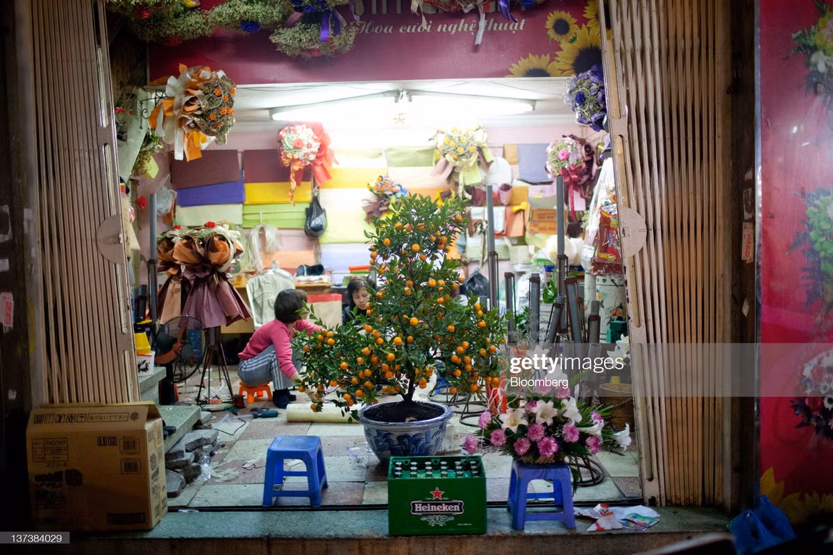 Sự hiện diện của một chậu quất hay cành đào như thổi luồng sinh khí mới, thay thế bầu không khí thường nhật trong mỗi gia đình...