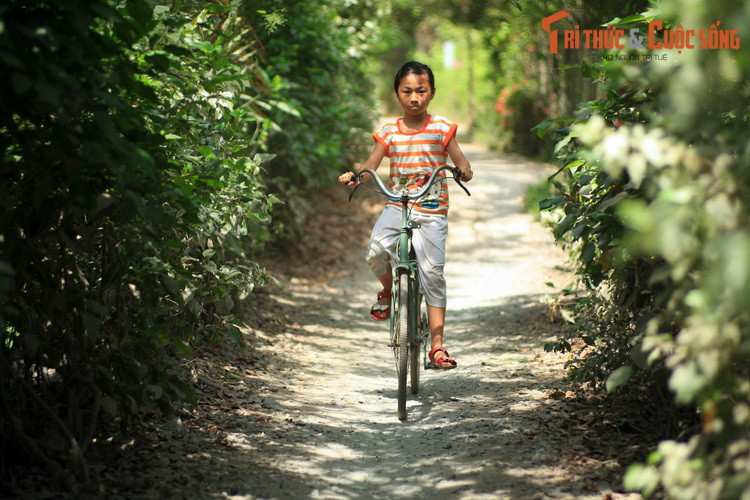 Ngoài các vườn trái cây, cồn Phụng còn cuốn hút du khách bởi nét sinh hoạt đời thường của người dân địa phương, các món ăn dân dã hay những món đồ lưu niệm làm thủ công từ các bộ phận của cây dừa.