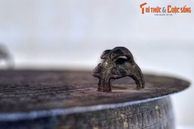 Trên nhiều chiếc trống đồng - hiện vật đặc trưng của văn minh Việt cổ - đã được phát hiện có một hình ảnh rất thú vị, đó là hai con ếch hoặc cóc đang cõng nhau. Đây chính là cảnh giao phối của loài động vật lưỡng cư này.