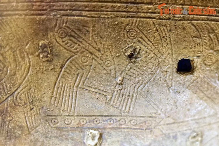 Trên tang trống đồng Hoàng Hạ có hình ảnh các con thuyền, giữa mỗi thuyền có hai đến bốn con chim có mào, mỏ dài, chân cao, đuôi dài, con nọ đứng trên lưng con kia (như đang đạp mái). Dưới thuyền có con chim mỏ dài ngậm cá...