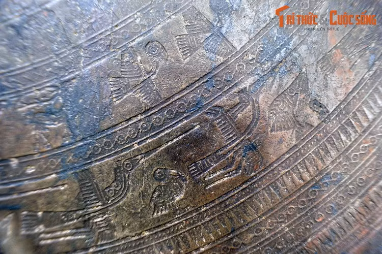 Các loài chim có sự hiện diện rất phong phú trên mặt trống đồng Ngọc Lũ. Ngoài chim lạc còn có các loài chim nhỏ hơn, được thể hiện trong nhiều tư thế khác nhau.