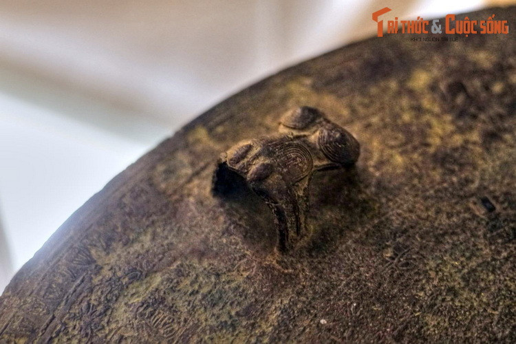 Một số chiếc trống có tượng ếch đơn lẻ xen giữa tượng ếch cõng nhau, hoặc chỉ có tượng ếch đơn lẻ.