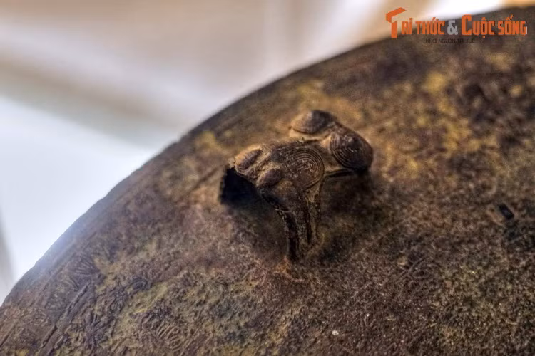 Một số chiếc trống có tượng ếch đơn lẻ xen giữa tượng ếch cõng nhau, hoặc chỉ có tượng ếch đơn lẻ.