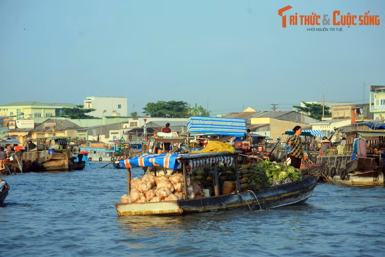 Nguồn lợi nông – thủy sản phong phú khiến hoạt động giao thương trên sông Hậu rất nhộn nhịp. Có thể cảm nhận điều này ở chợ nổi Cái Răng, khu chợ họp gần bến Ninh Kiều của TP Cần Thơ. Đây là một trong những khu chợ nổi đặc sắc nhất miền Tây Nam Bộ.