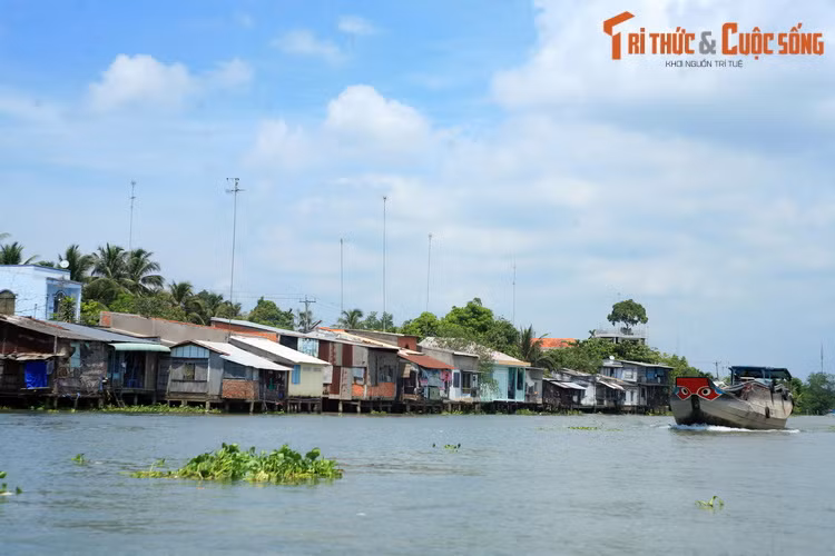 Dòng sông cũng cung cấp nguồn nước tưới tiêu cho những ruộng lúa thẳng cánh cò bay, là tuyến đường giao thương trọng yếu, hay không gian lao động – sản xuất của hàng vạn hộ dân sống bằng nghề đánh bắt, nuôi trồng thủy sản.