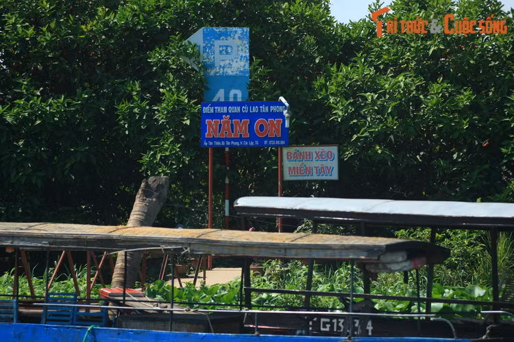 Được bồi đắp bởi lượng phù sa dồi dào, dải đất hai bên bờ sông cùng các cồn nổi trên sông có đất đai màu mỡ, tạo nên những vựa trái cây trù phú với đủ các loại cây đặc sản của phương Nam như măng cụt, xầu riêng, xoài, chôm chôm...