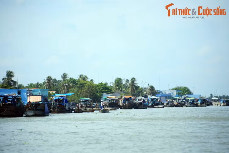 Đời sống gắn với sông nước ở nơi đây đã tạo nên một bản sắc văn hóa độc đáo, được thể hiện cô đọng qua chợ nổi Cài Bè, một trong các khu chợ nổi có quy mô lớn nhất miền Tây Nam Bộ. Chợ họp ở đoạn sông nơi giáp gianh giữa ba tỉnh Tiền Giang, Vĩnh Long và Bến Tre.