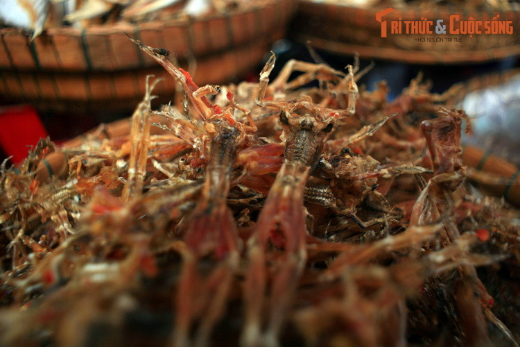 Không chỉ có khô cá, nơi đây bán cả khô nhái, thường được gọi vui là "vũ nữ chân dài".