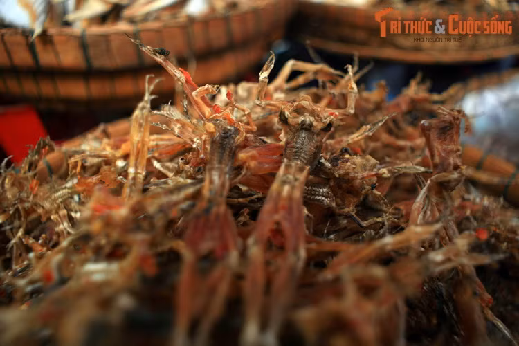 Không chỉ có khô cá, nơi đây bán cả khô nhái, thường được gọi vui là "vũ nữ chân dài".