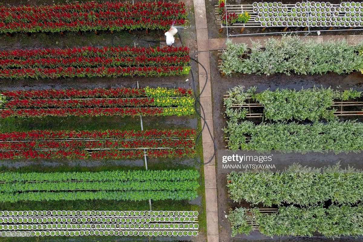 Với bề dày kinh nghiệm lâu năm và tiến bộ của khoa học kỹ thuật, các loài hoa, cây cảnh Sa Đéc ngày nay không chỉ có mặt ở các địa phương miền Nam mà đã được đưa đến các tỉnh miền Trung, Tây Nguyên, một số tỉnh phía Bắc… và xuất khẩu đi một số quốc gia trong khu vực.