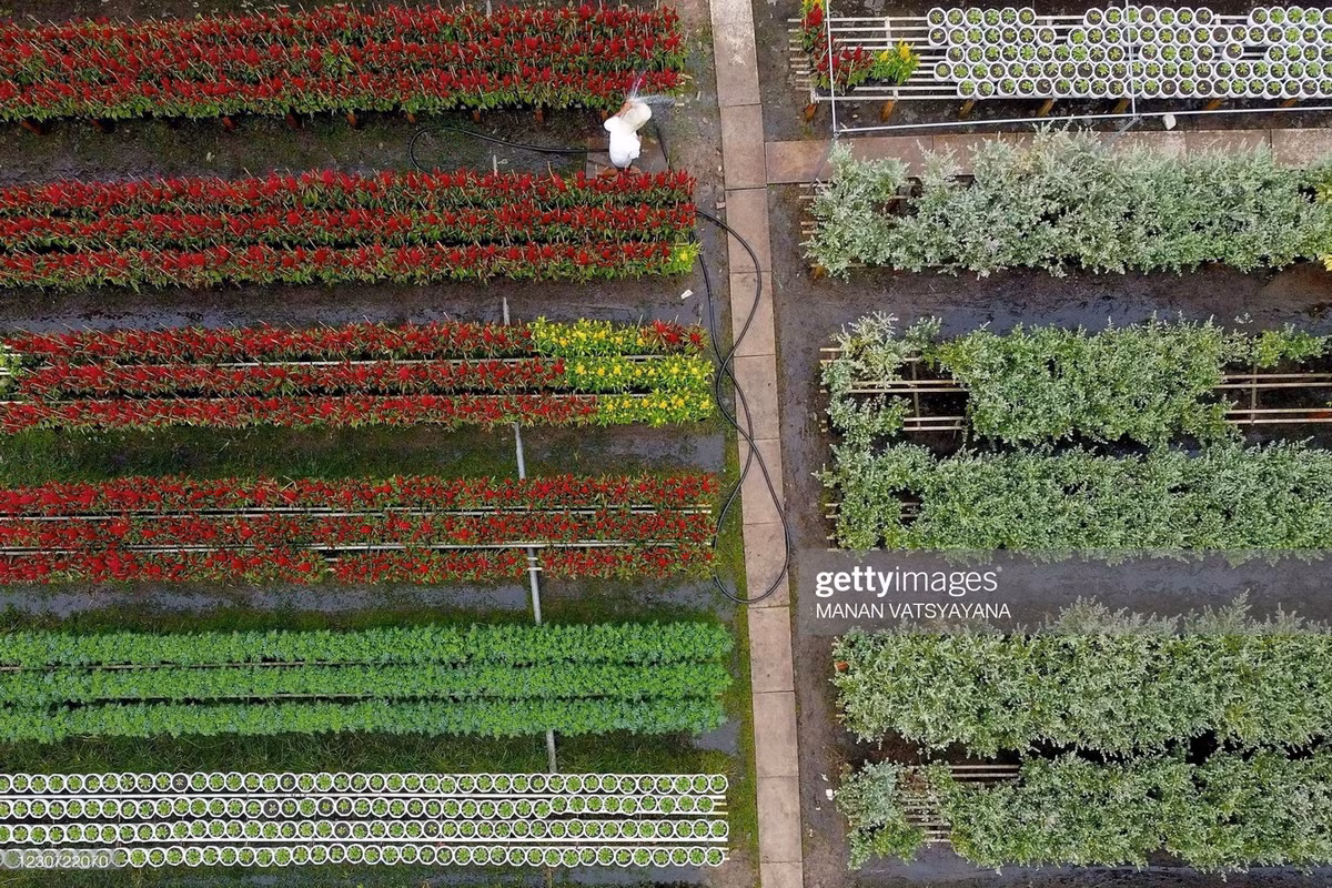 Với bề dày kinh nghiệm lâu năm và tiến bộ của khoa học kỹ thuật, các loài hoa, cây cảnh Sa Đéc ngày nay không chỉ có mặt ở các địa phương miền Nam mà đã được đưa đến các tỉnh miền Trung, Tây Nguyên, một số tỉnh phía Bắc… và xuất khẩu đi một số quốc gia trong khu vực.